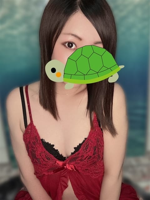 ひかり もしもし亀よ亀さんよ 名古屋店 (今池・池下発)