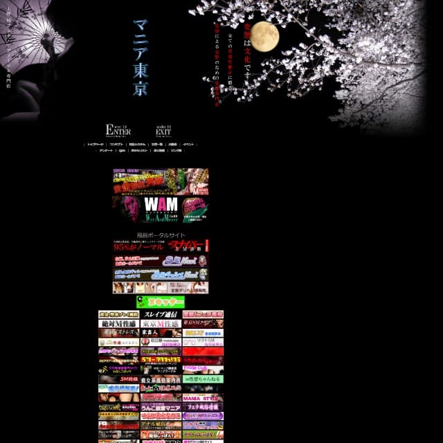 Ｍフェチ・アブノーマル専門店 マニア東京