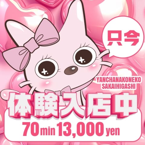 ほのか やんちゃな子猫堺東店 (堺市発)