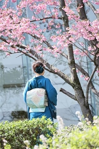 ひみこ 奥鉄オクテツ京都 (祇園発)