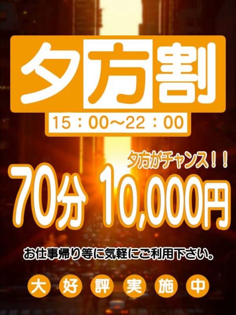 夕方割 奥様なでしこ (宇都宮発)