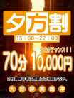 夕方割 奥様なでしこ (宇都宮発)