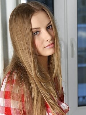 ケイト ワンピース (府中発)