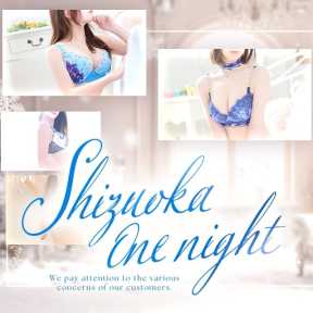 静岡ワンナイト (静岡発)