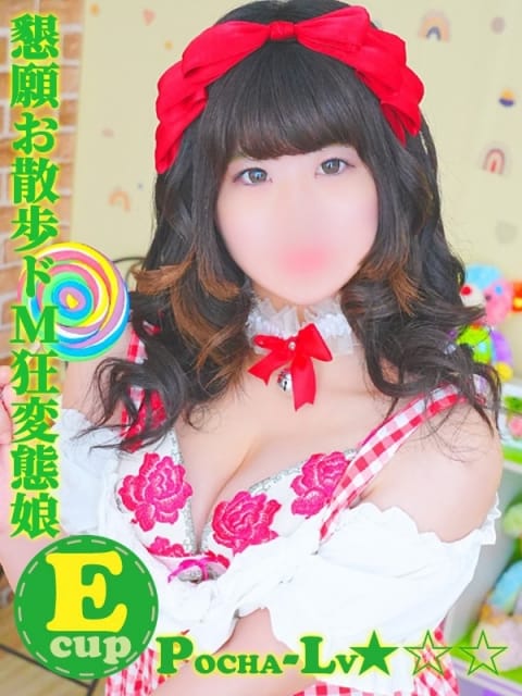 しゅか＠懇願お散歩ドＭ狂変態娘 ぽちゃカワ革命！！いちゃぷよ★ポッチャdoll [西部店] (浜松発)