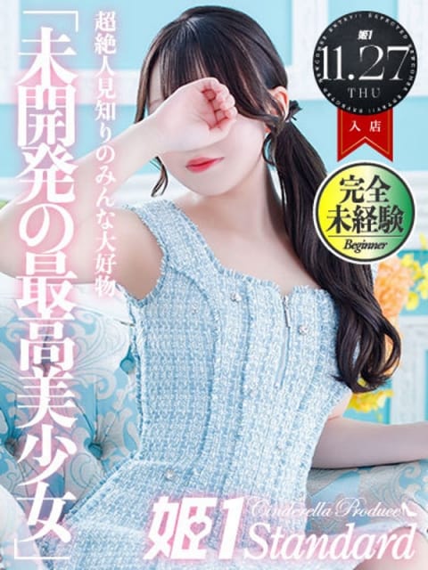 ふわり☆STANDARD 姫1 (博多発)