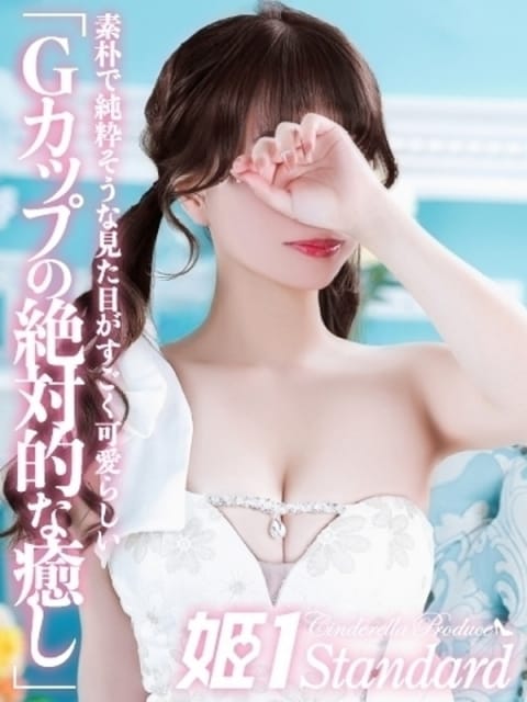 みらい☆STANDARD 姫1 (博多発)