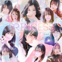 プリンセスセレクション茨木・枚方店 (姫路発)