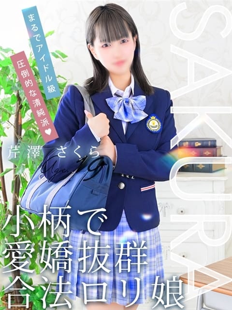 芹澤 さくら プリンセス宮殿女学園　名古屋校 (栄・新栄発)
