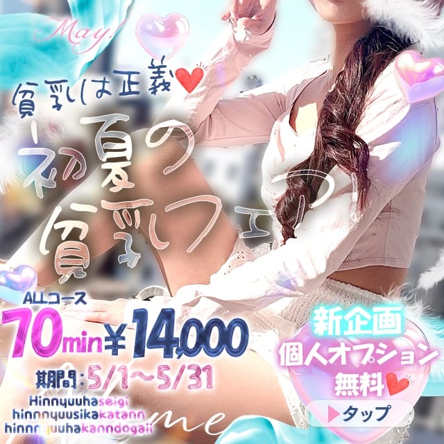 貧乳・微乳専門店プリンセスバスト (名駅・納屋橋発)