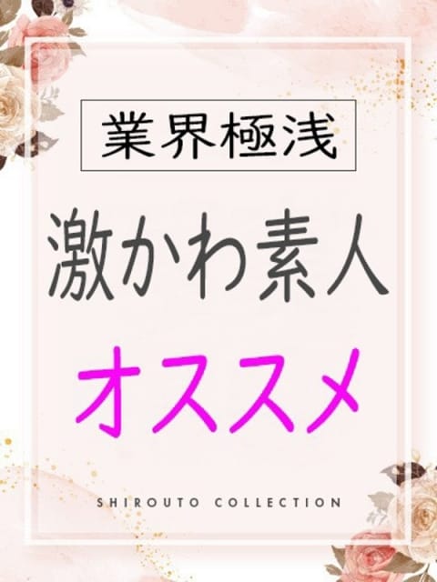 なぎさ しろうとcollection ～高松店～ (高松発)