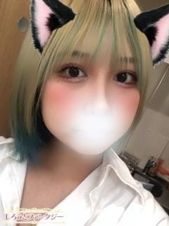 はく しろうとファンタジー船橋店 (松戸発)