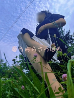 れん 春うらら (札幌・すすきの発)