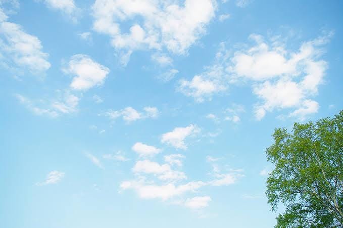 明日14時から！