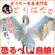 とりはだ