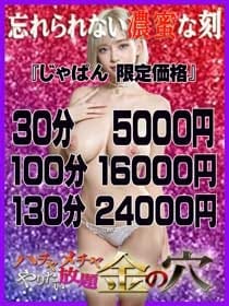 じゃぱん　限定価格 ハチャメチャ やりたい放題 金の穴 (上野・御徒町発)