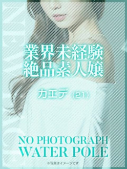 カエデ【STANDARD】 WATER POLE ~ウォーターポール~ (高岡発)