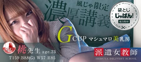 袋とじじゃぱん! 派遣女教師-桃先生