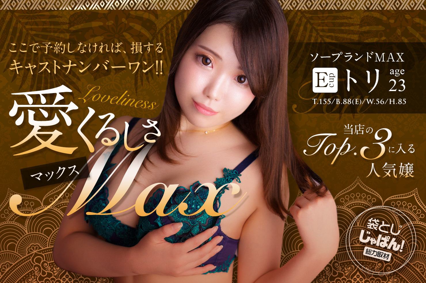 袋とじじゃぱん！総力取材 ソープランドMAX トリ(23) B88(E)/W56/H85