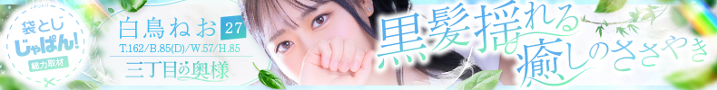 袋とじじゃぱん！ 三丁目の奥様（東京ハレ系）-白鳥　ねお
