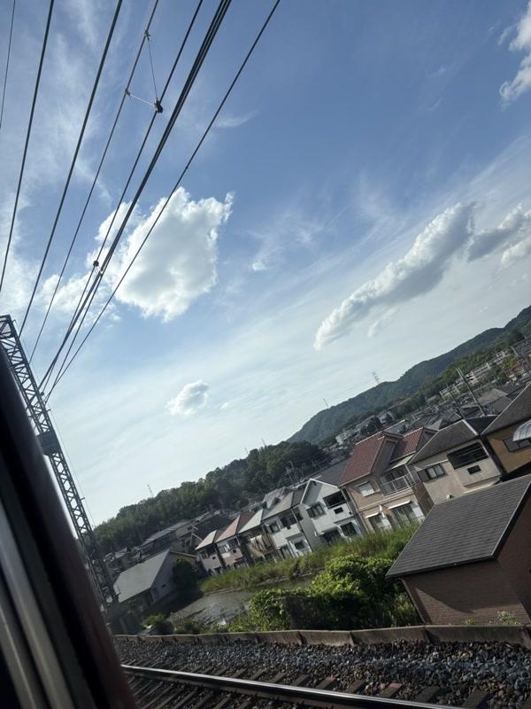 ちな（clubさくら日本橋店）