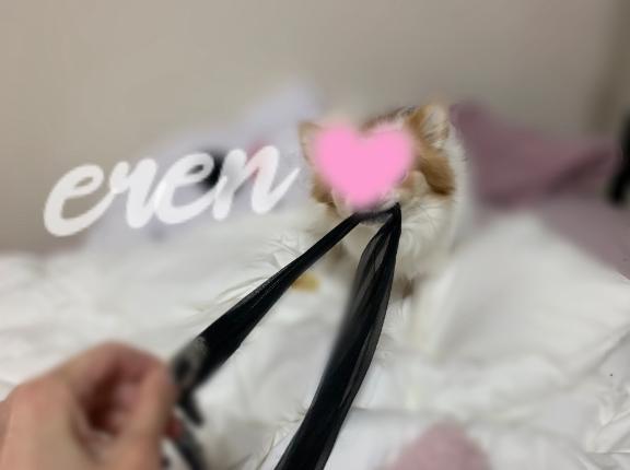 助けて🥹…。
