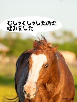 予め<img class="emojione" alt="🙏" title=":pray:" src="https://fuzoku.jp/assets/img/emojione/1f64f.png"/><img class="emojione" alt="💦" title=":sweat_drops:" src="https://fuzoku.jp/assets/img/emojione/1f4a6.png"/>