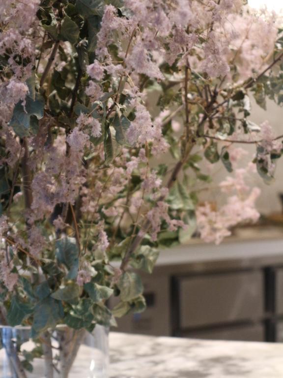 2025年、最後のご挨拶<img class="emojione" alt="✨" title=":sparkles:" src="https://fuzoku.jp/assets/img/emojione/2728.png"/>