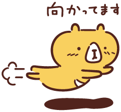 本日10時から！♪