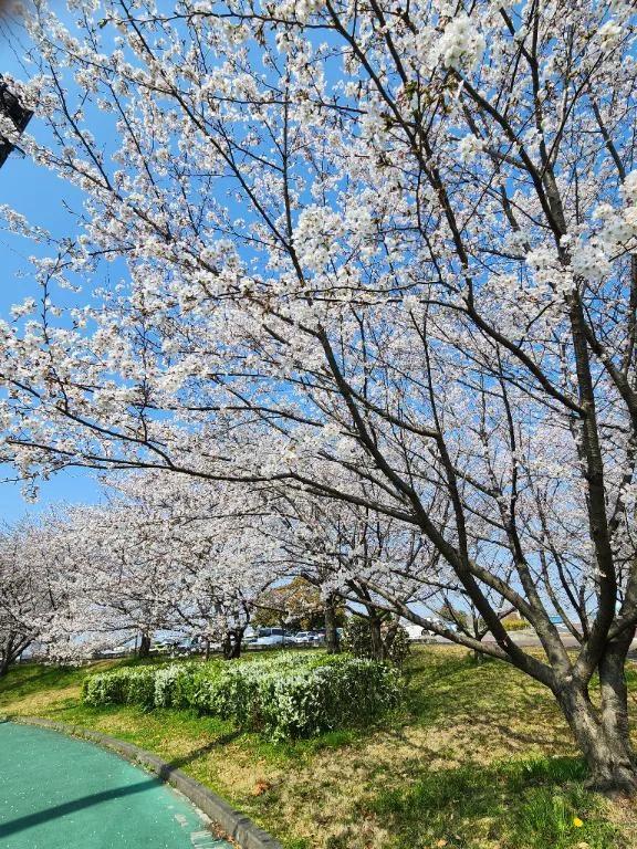 頑張れ<img class="emojione" alt="🌸" title=":cherry_blossom:" src="https://fuzoku.jp/assets/img/emojione/1f338.png"/>