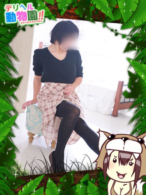 いぬのしおん