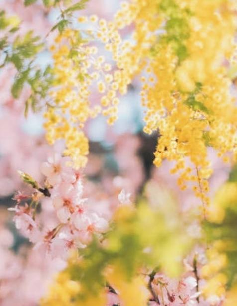 こんばんは♡