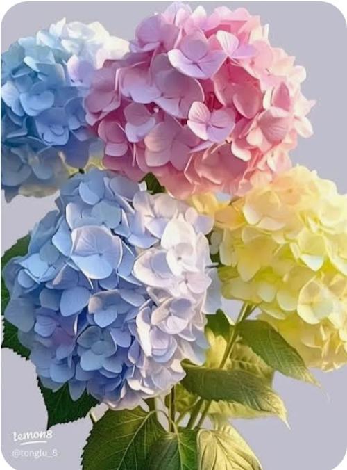 生理休暇♡