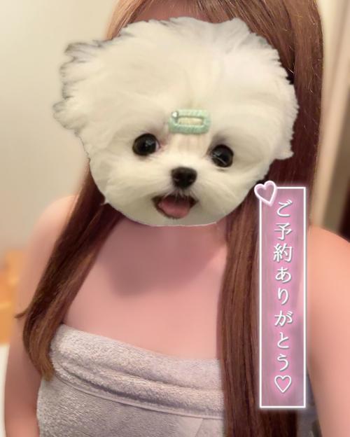 お知らせ♡＆謝罪(;_;)