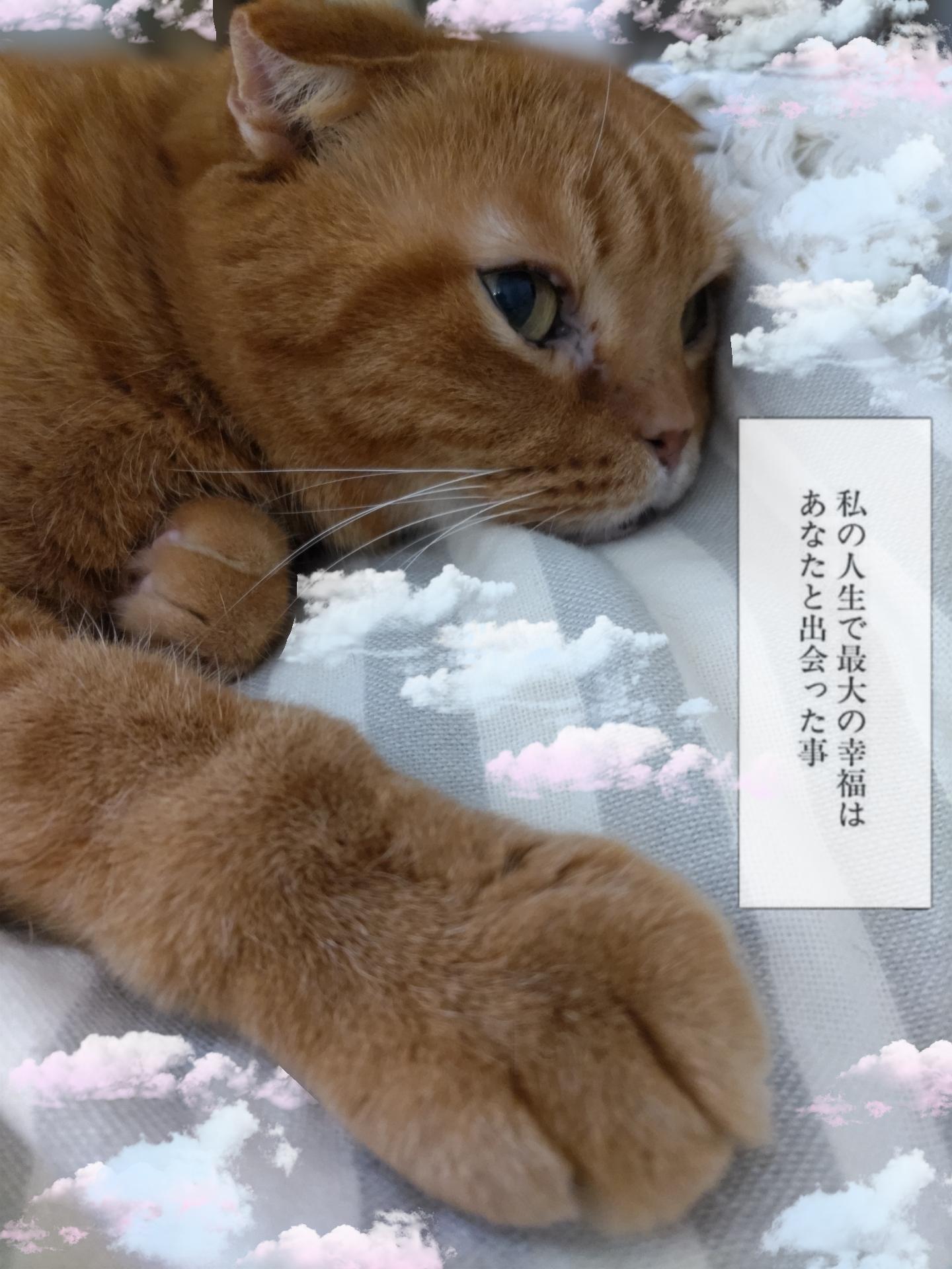 <img class="emojione" alt="😷" title=":mask:" src="https://fuzoku.jp/assets/img/emojione/1f637.png"/><img class="emojione" alt="🤧" title=":sneezing_face:" src="https://fuzoku.jp/assets/img/emojione/1f927.png"/><img class="emojione" alt="😷" title=":mask:" src="https://fuzoku.jp/assets/img/emojione/1f637.png"/><img class="emojione" alt="🤧" title=":sneezing_face:" src="https://fuzoku.jp/assets/img/emojione/1f927.png"/>