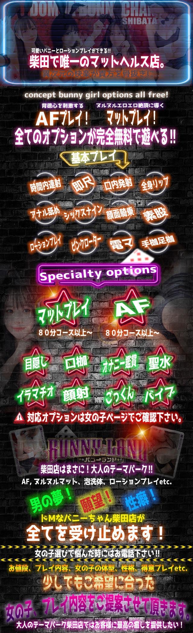 ドMなバニーちゃん名古屋柴田店＿料金システム2