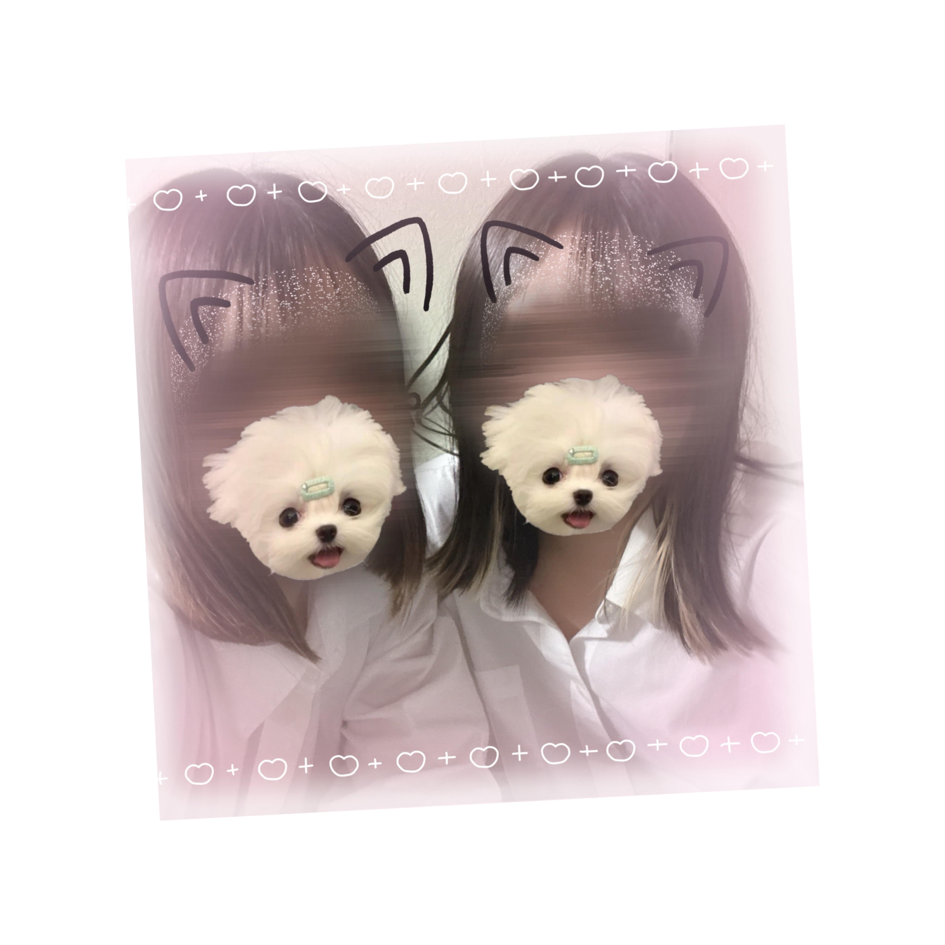 しゅっ！
