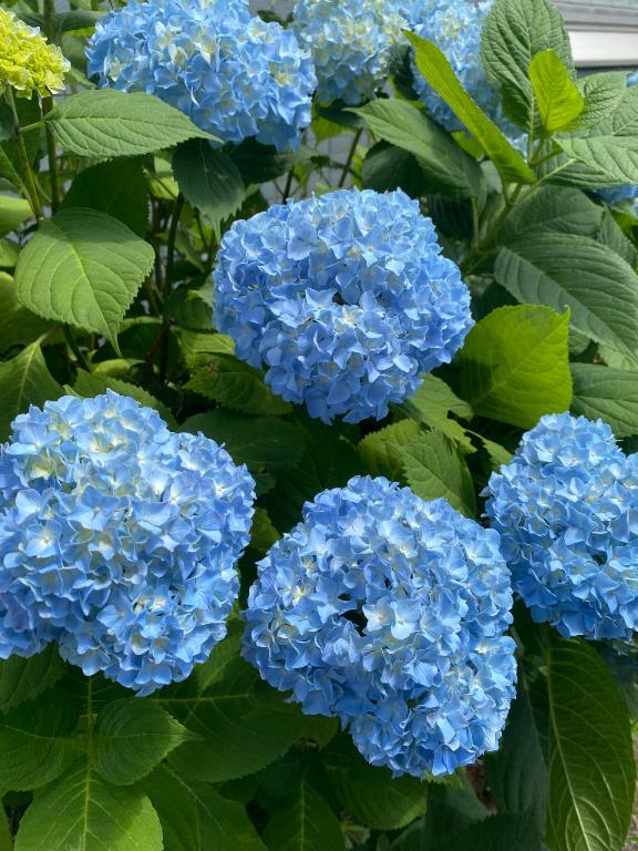 おはよう日曜日<img class="emojione" alt="🌱" title=":seedling:" src="https://fuzoku.jp/assets/img/emojione/1f331.png"/>🩵