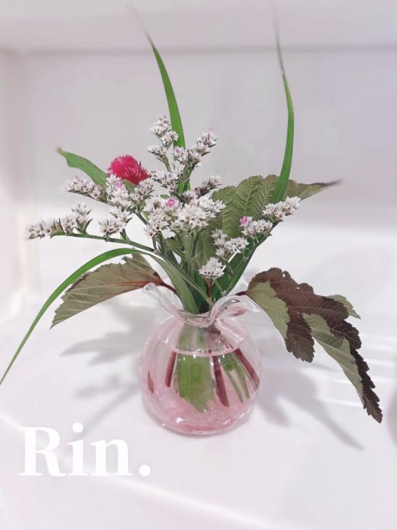 <img class="emojione" alt="🌼" title=":blossom:" src="https://fuzoku.jp/assets/img/emojione/1f33c.png"/>お家に新しいお花を<img class="emojione" alt="🌱" title=":seedling:" src="https://fuzoku.jp/assets/img/emojione/1f331.png"/>