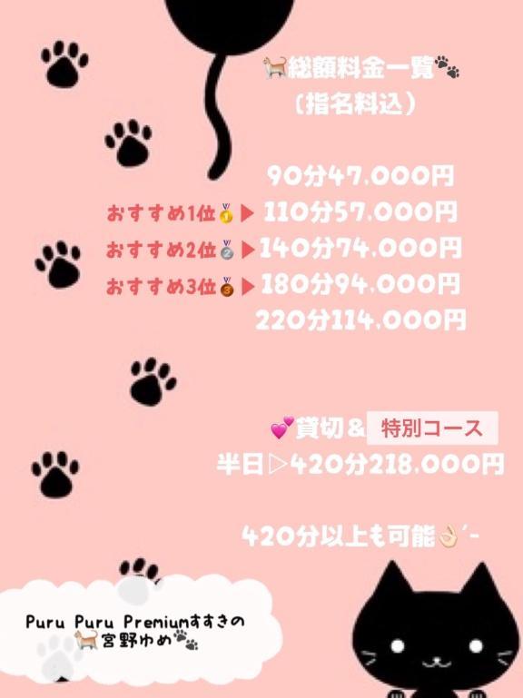 ゆめのおすすめ<img class="emojione" alt="✨" title=":sparkles:" src="https://fuzoku.jp/assets/img/emojione/2728.png"/>