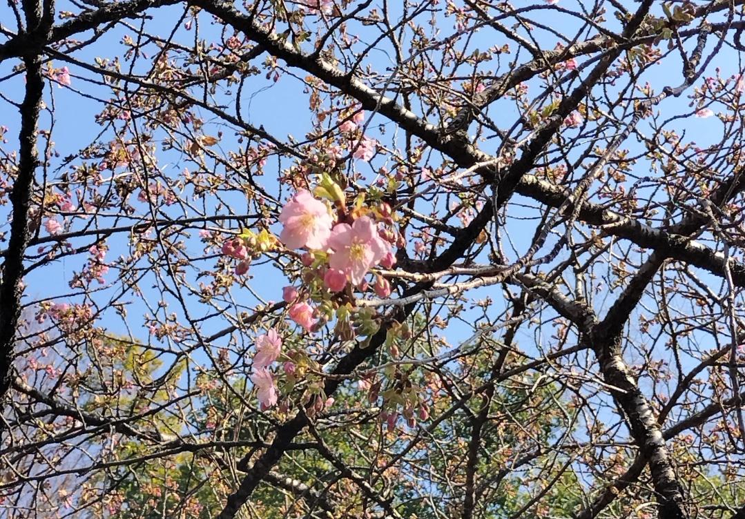ただいま〜！