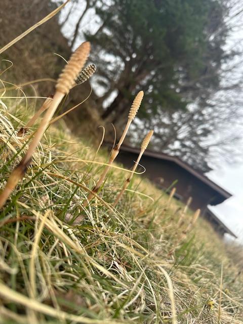 さむ