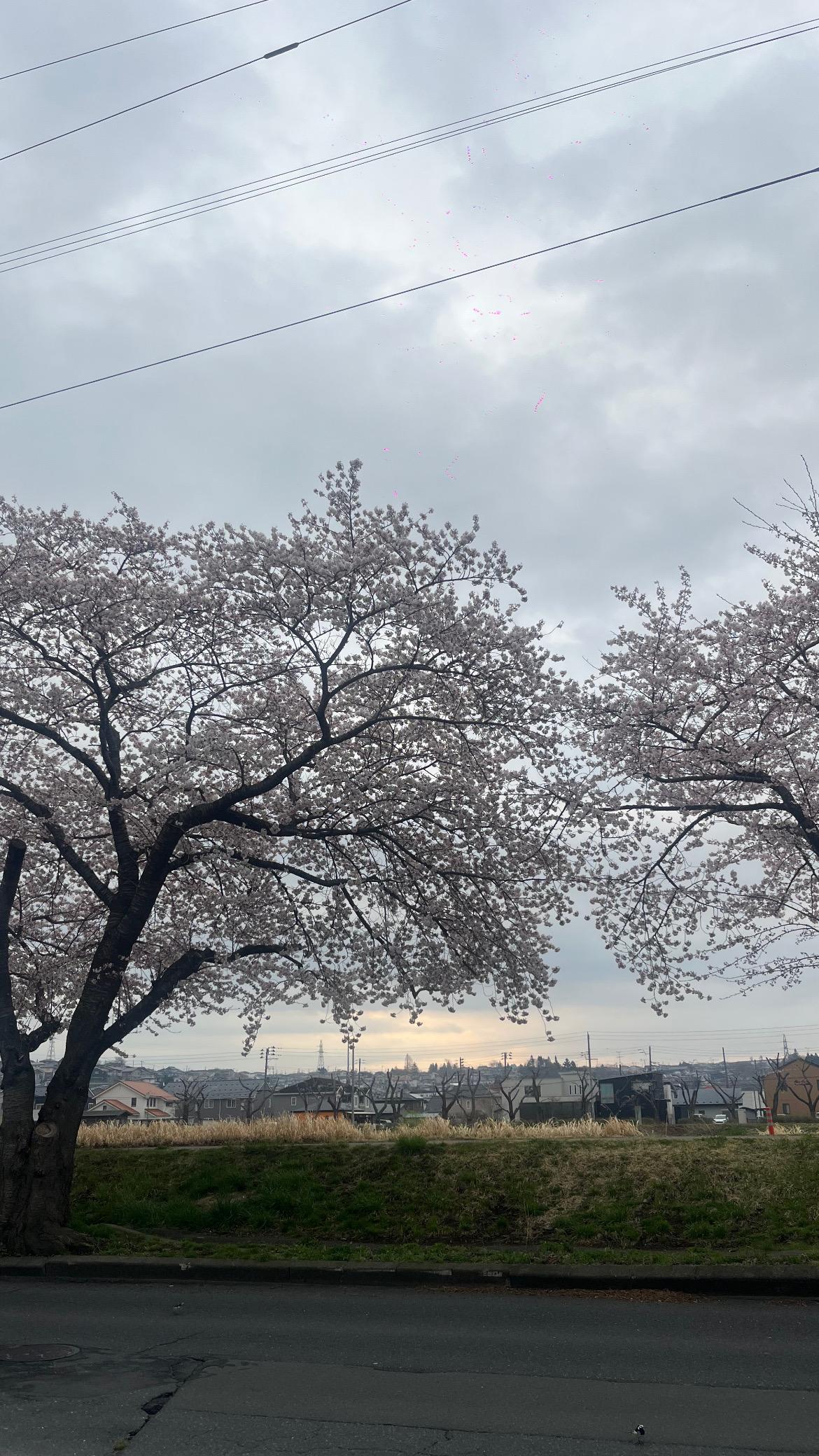 ぴえん