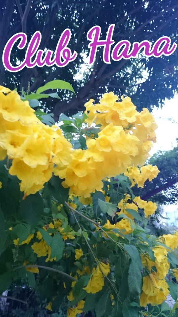 4/18のみたよ♪ありがとう