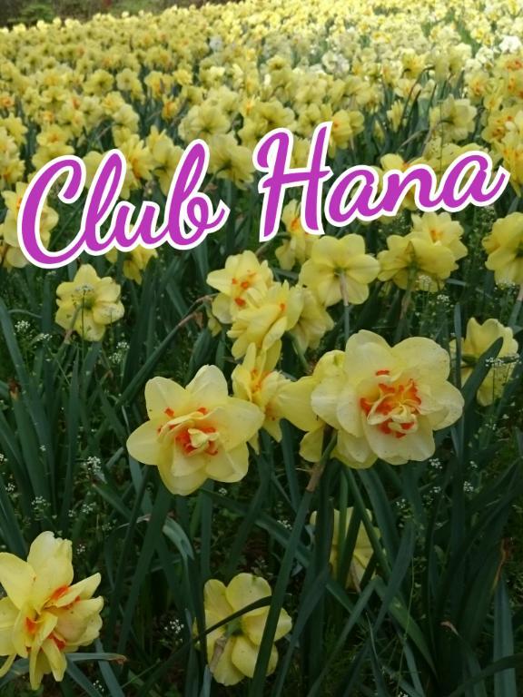 4/23のみたよ♪ありがとう
