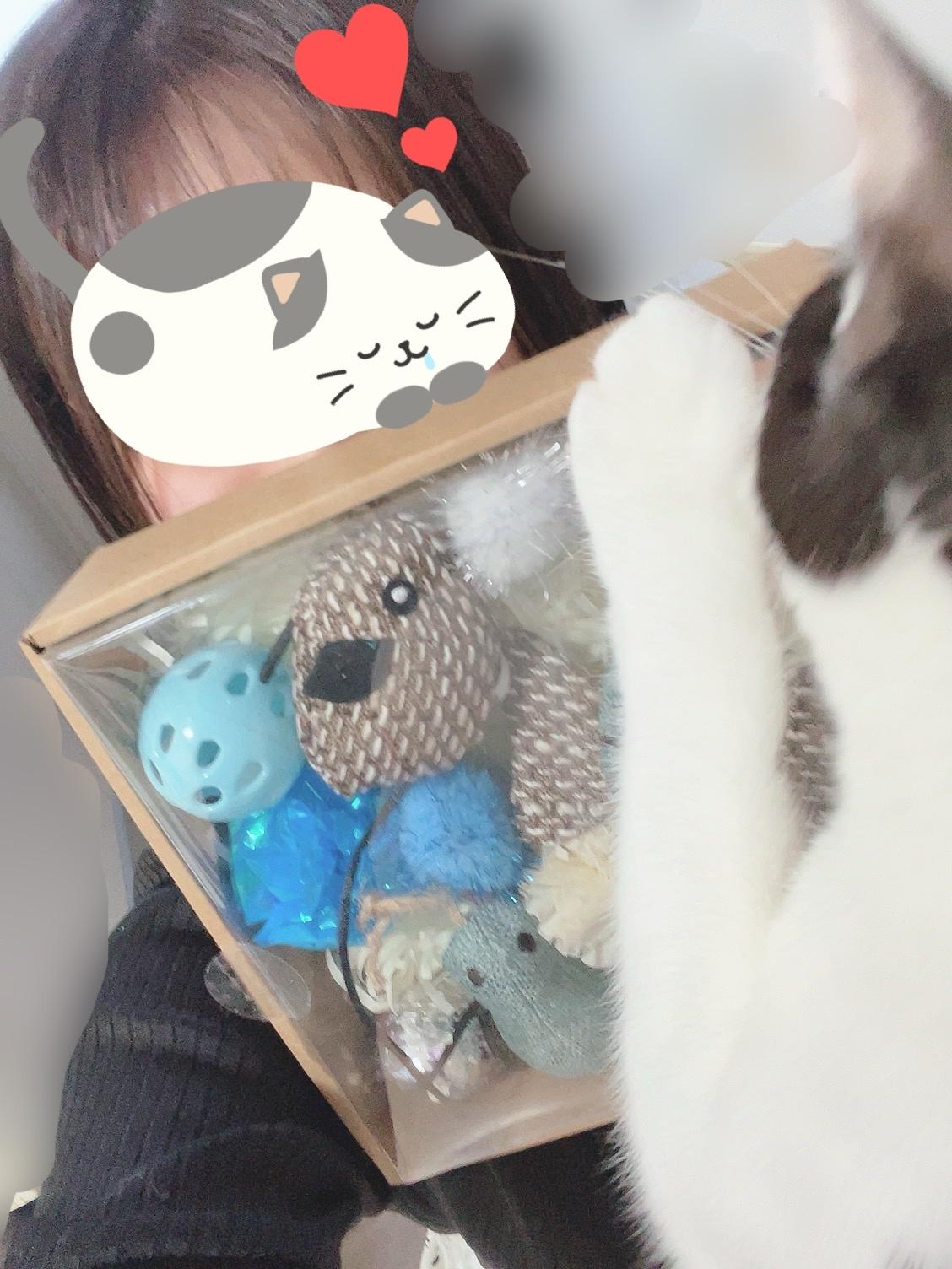 うたの日常⑩