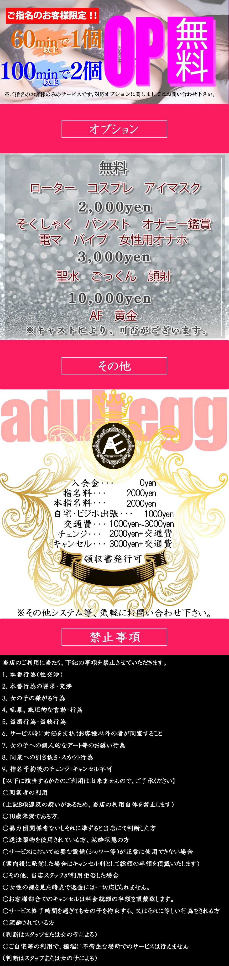 Adult Egg-大人女子のHな専門店＿料金システム4