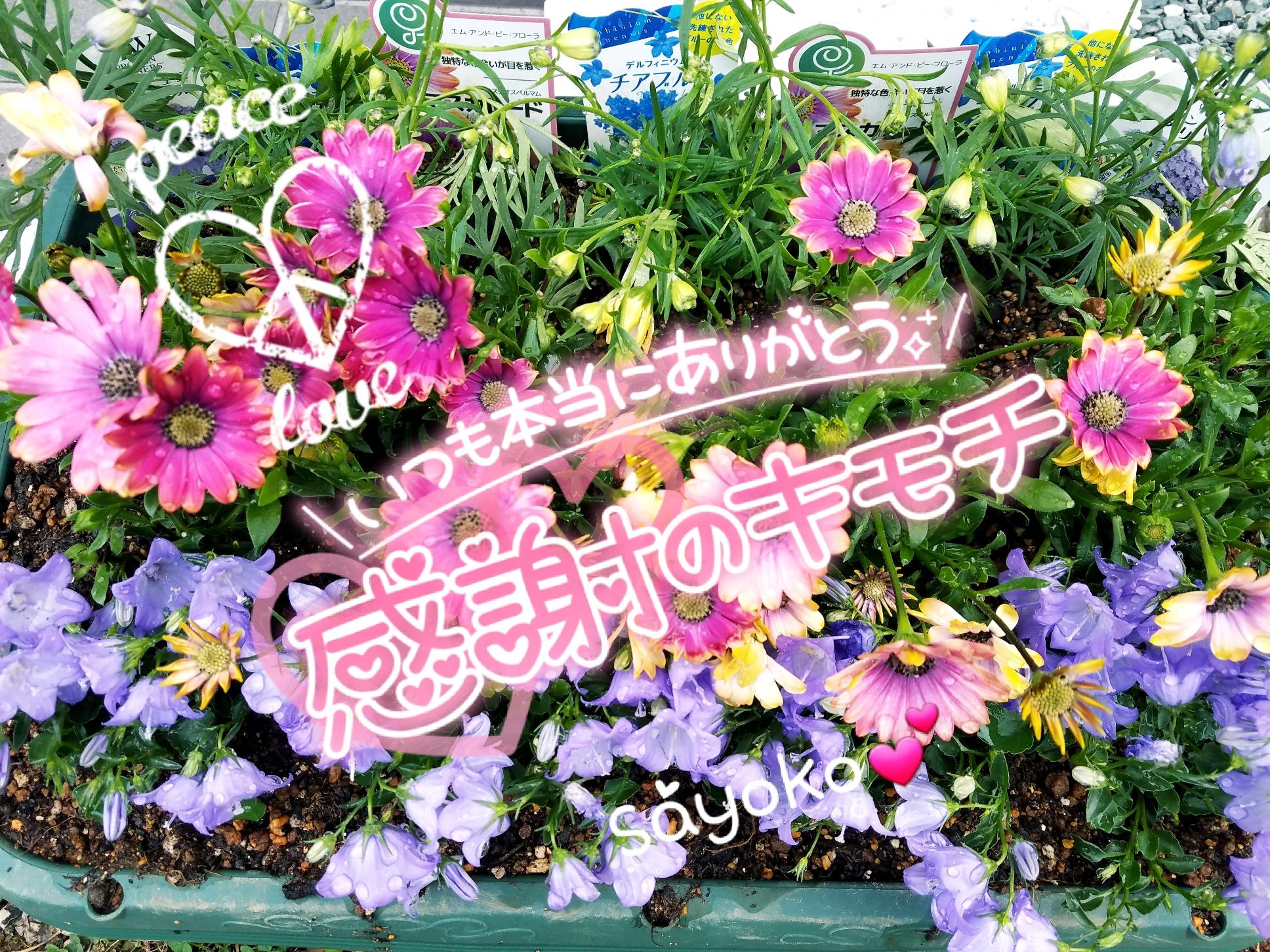 おはようございます<img class="emojione" alt="🍀" title=":four_leaf_clover:" src="https://fuzoku.jp/assets/img/emojione/1f340.png"/>