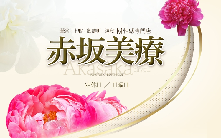 赤坂美療