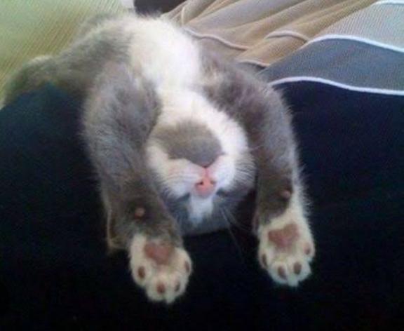 おやすみなさい<img class="emojione" alt="😪" title=":sleepy:" src="https://fuzoku.jp/assets/img/emojione/1f62a.png"/>